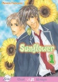 Sunflower - Yaoi
